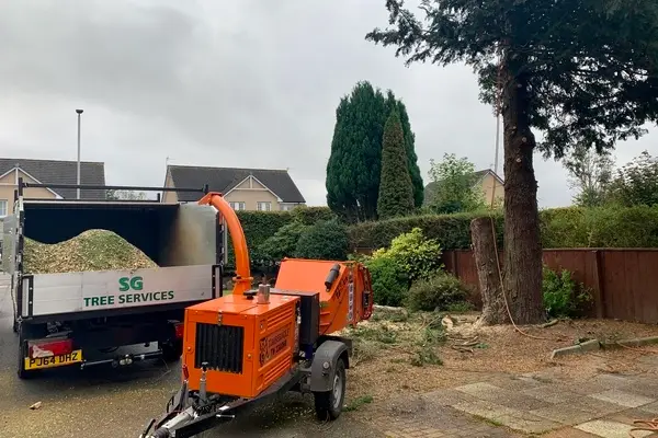 Tree Removal Services in Aberdeen