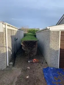 Hedge Reduction & Hedge Removal Services