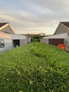 Hedge maintenance Services