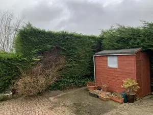 Garden Maintenance