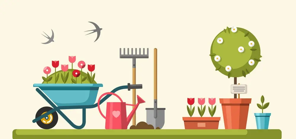 Benefits of Garden Maintenance Services