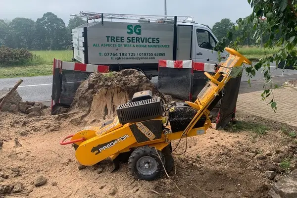 Stump Grinding