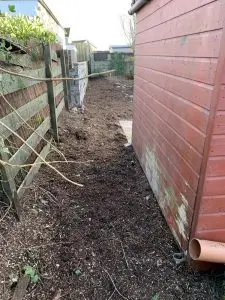 SG Tree Services tree maintenance in Stonehaven