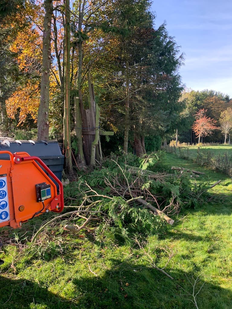Stump Grinding Services