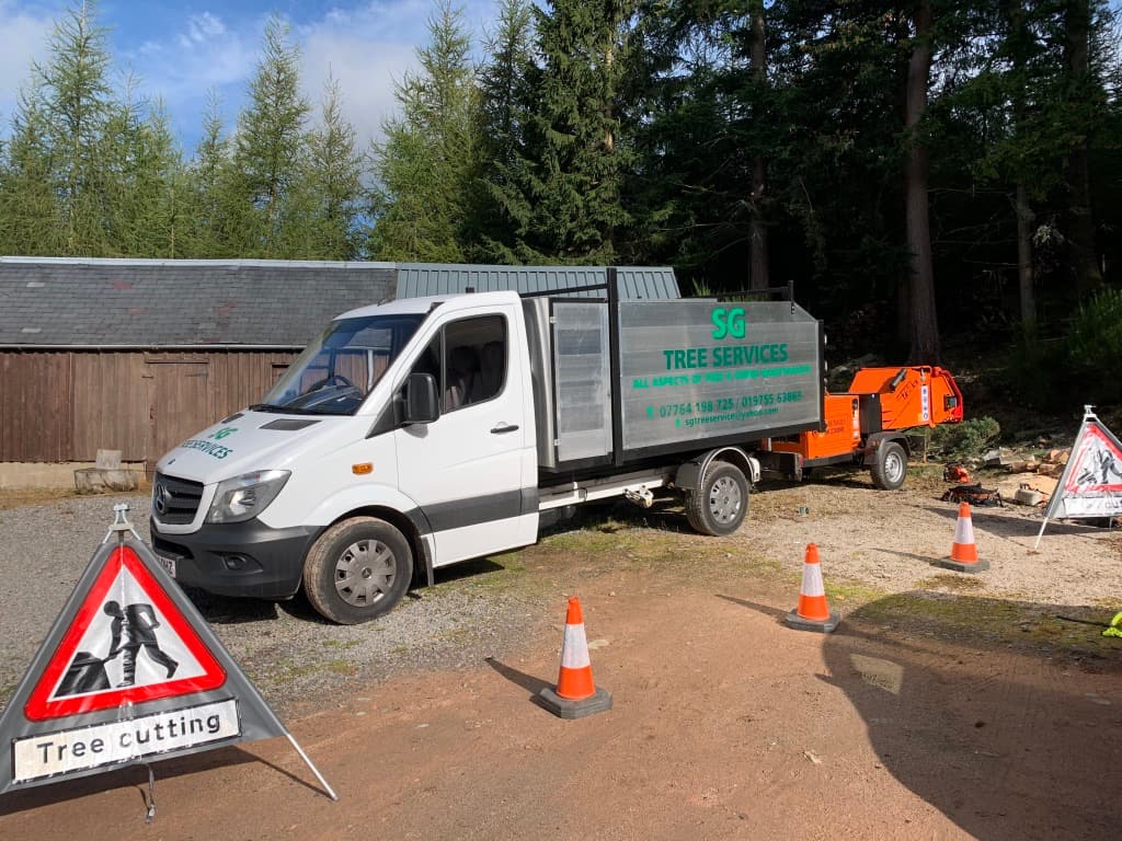 Tree Cutting