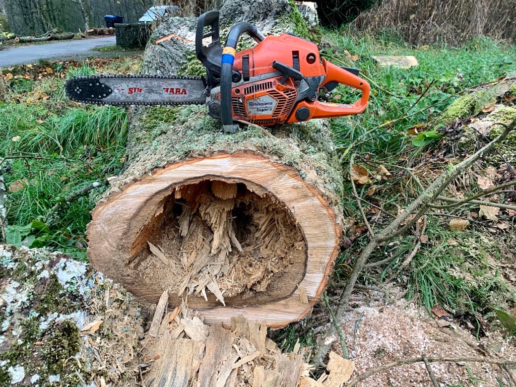 Tree Removal